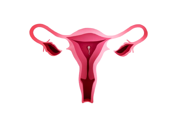 Gynecology